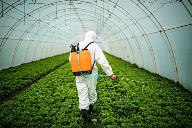 Best Mosquito Control Services  in Choccolocco, AL