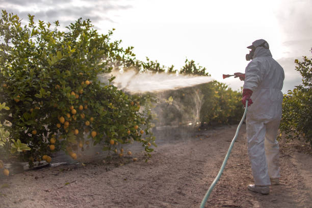 Best Flea Control Services  in Choccolocco, AL