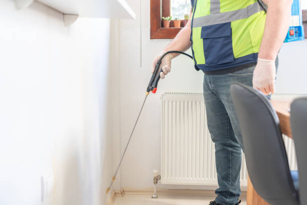 Best Termite Control Services  in Choccolocco, AL