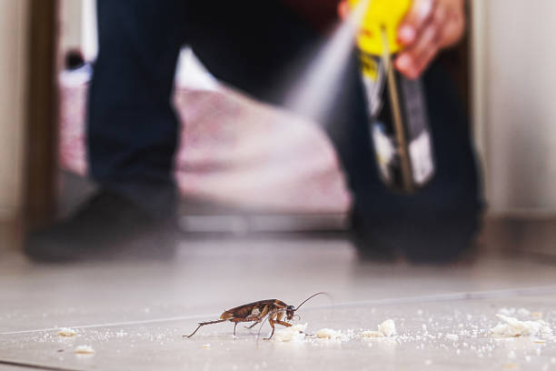 Best Pest Removal Services  in Choccolocco, AL