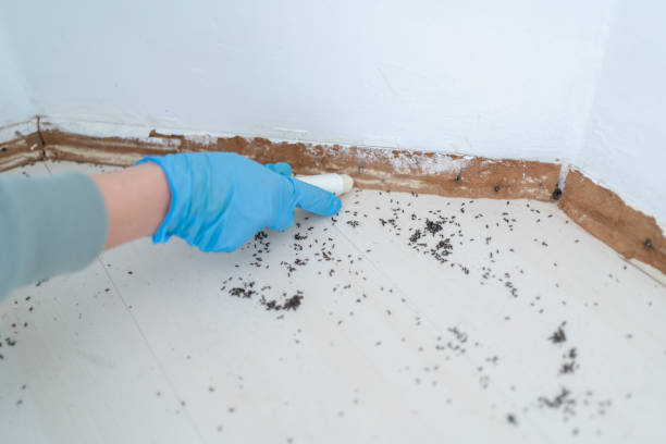 Best Commercial Pest Control Services  in Choccolocco, AL
