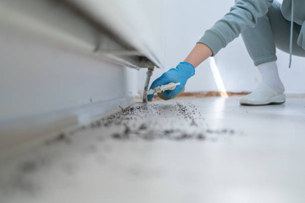 Best Best Pest Control Companies  in Choccolocco, AL