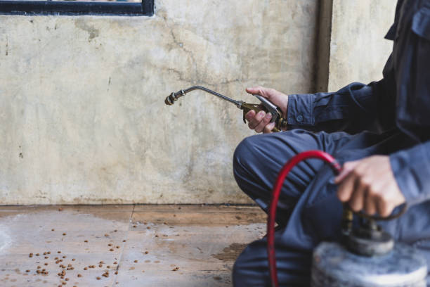 Best Ant Control Services  in Choccolocco, AL